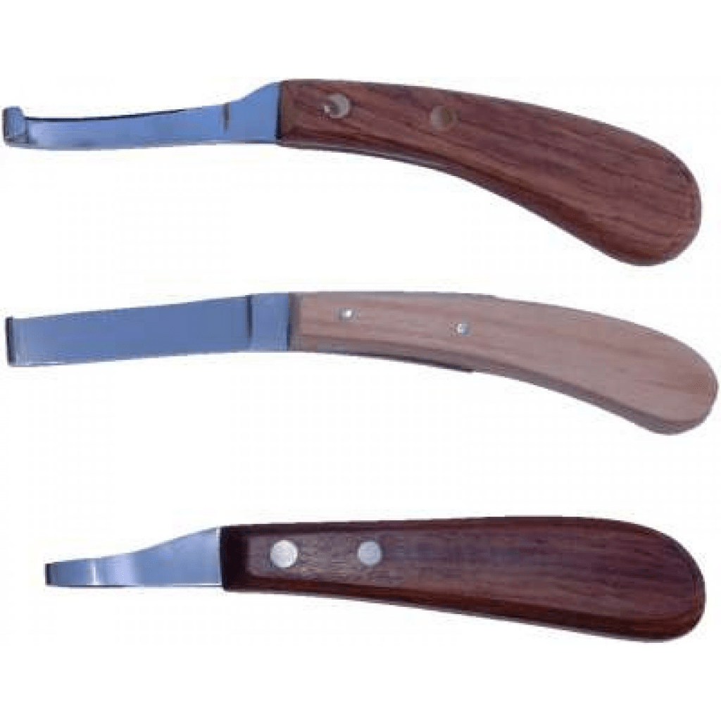 Worldwide Equine Buy Equine Dentist Equipment Online